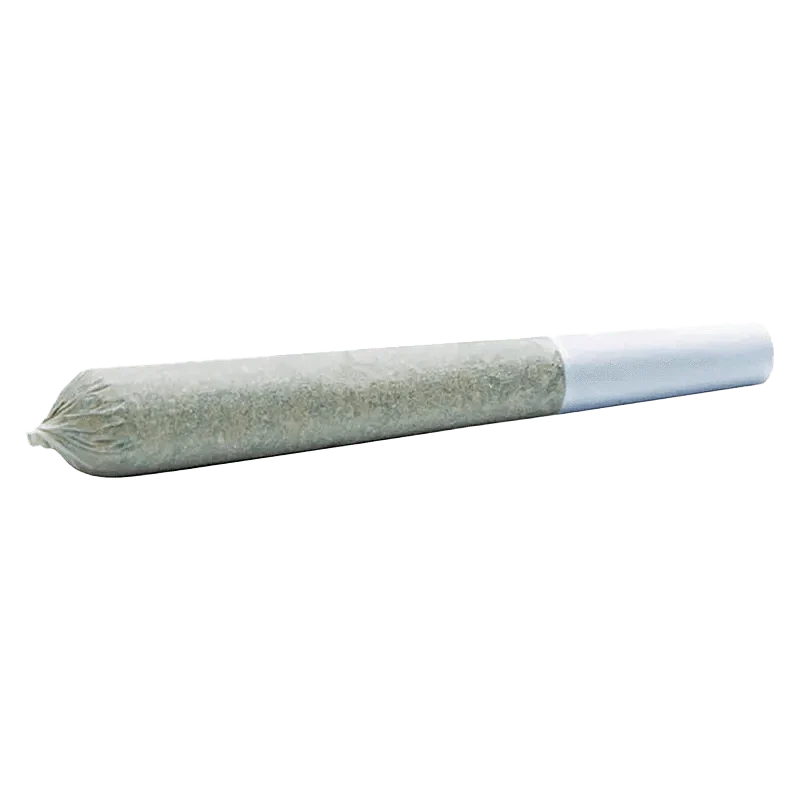 White Blaze PR 10 x 0.3 g - Image 2