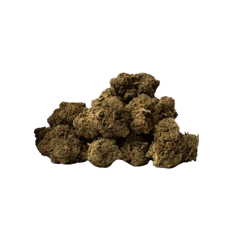 Multiverse - Image 2