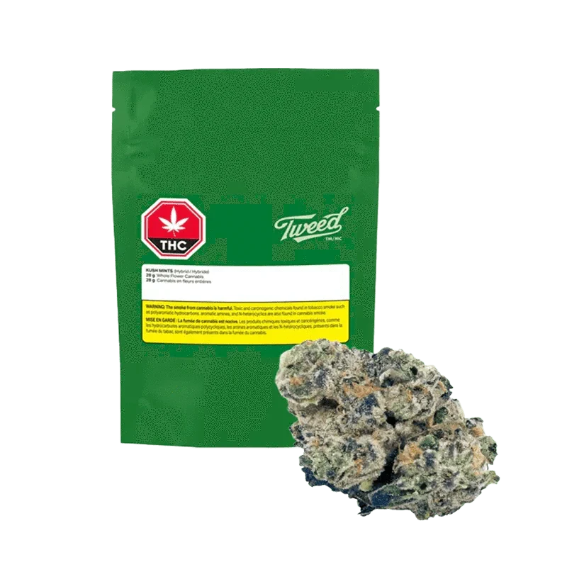 Kush Mints - Image 4