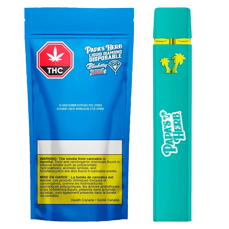 Blueberry Zlshie Disposable Vape