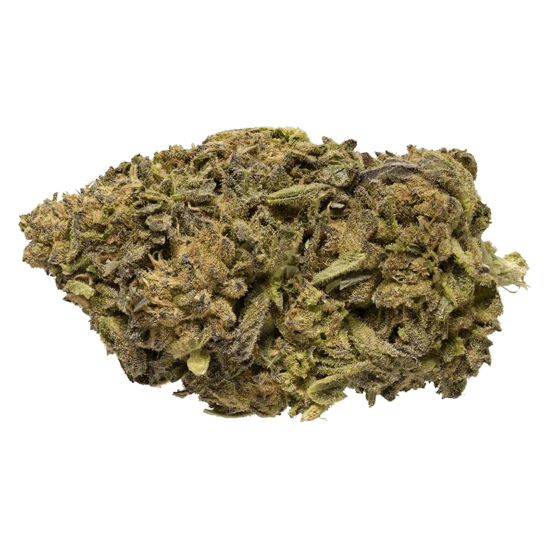 Live Flower - Image 2