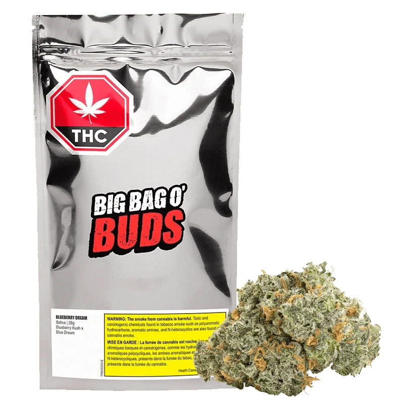 Blueberry Dream