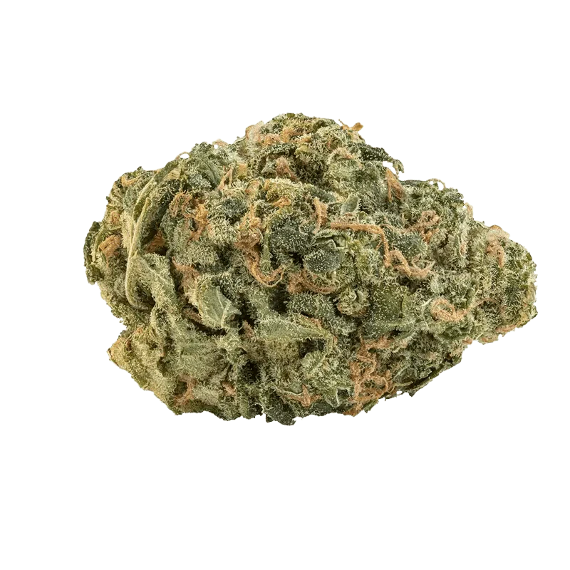 Ultra Sour - Image 2