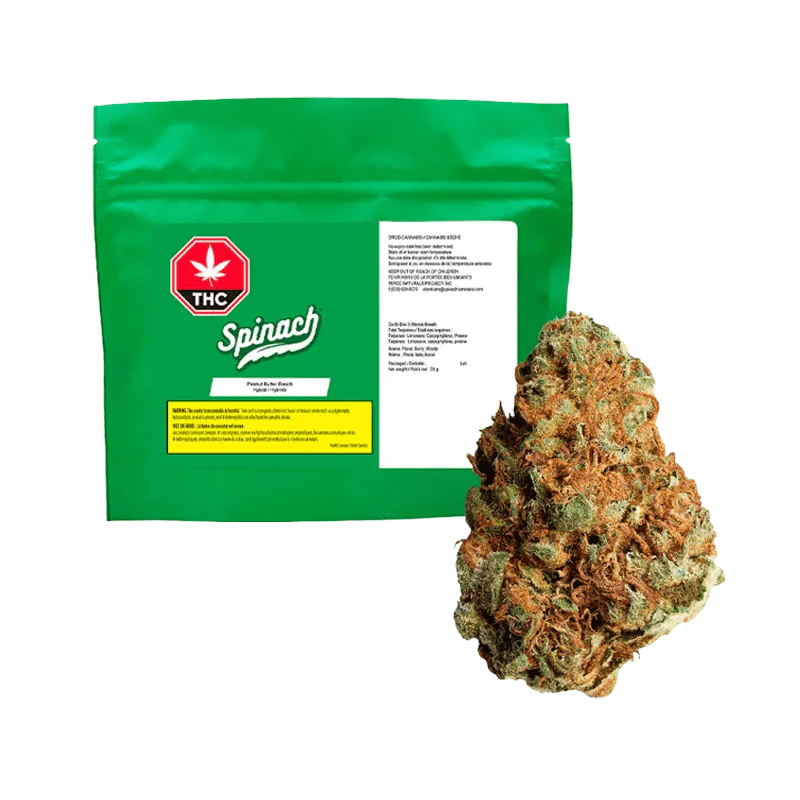 Peanut Butter Breath