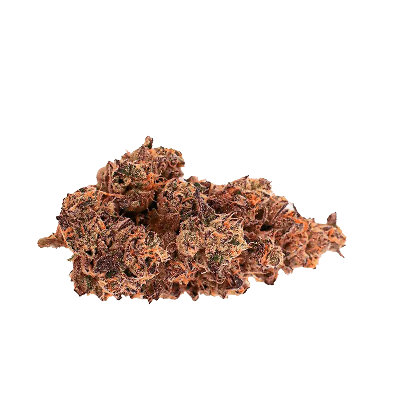 Slurricane Mint - Image 2