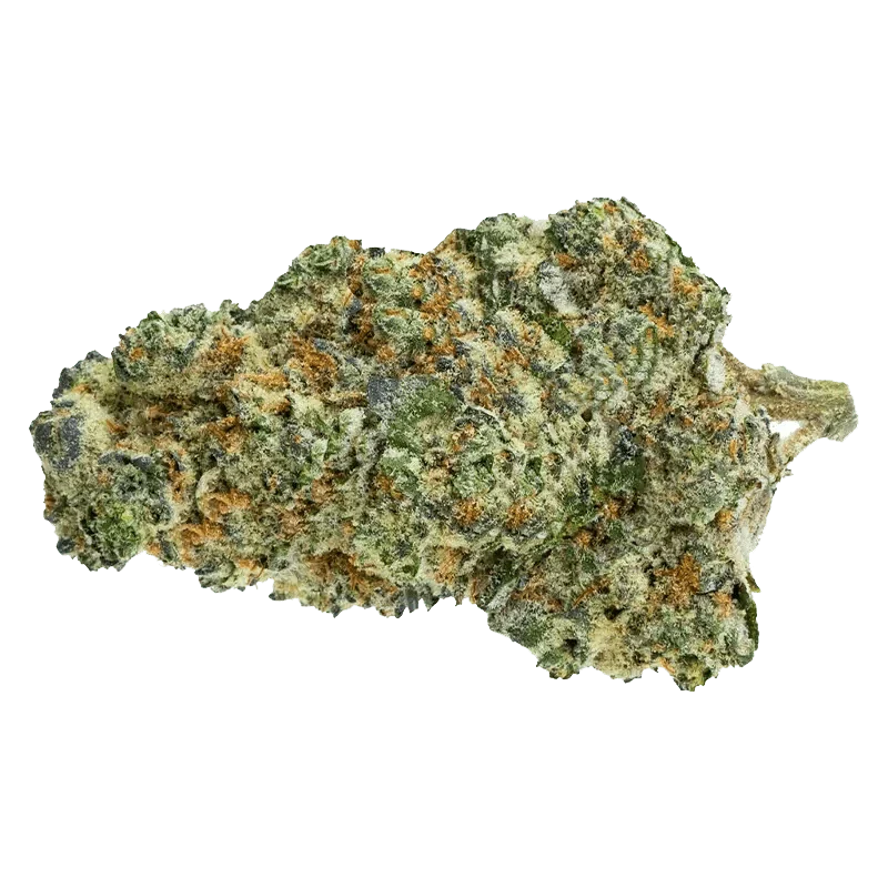 Big White - Image 2