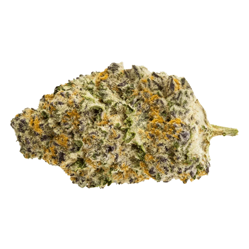 Gorilla Milk - Image 5