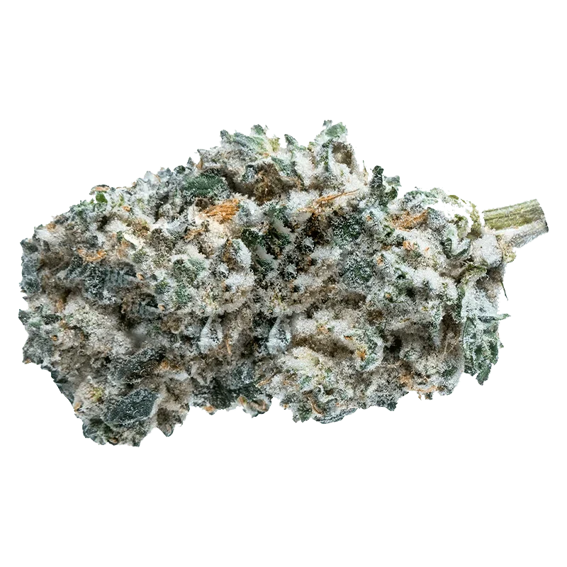 Kush Breath - Image 2