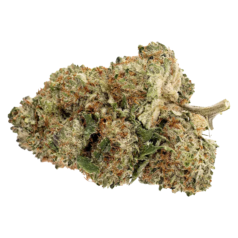 Pink Rhino - Image 2