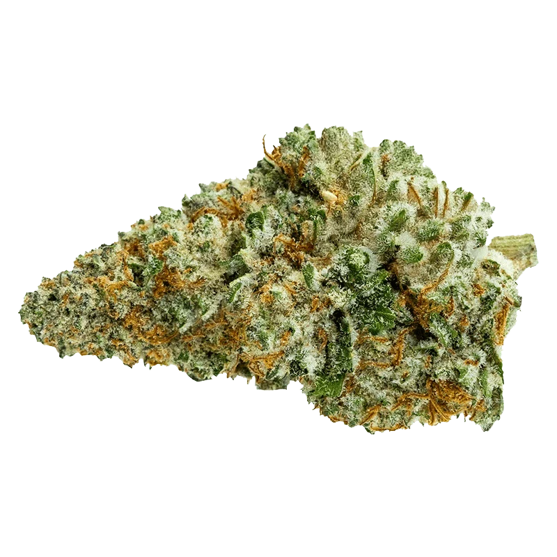 Queen Green - Image 2
