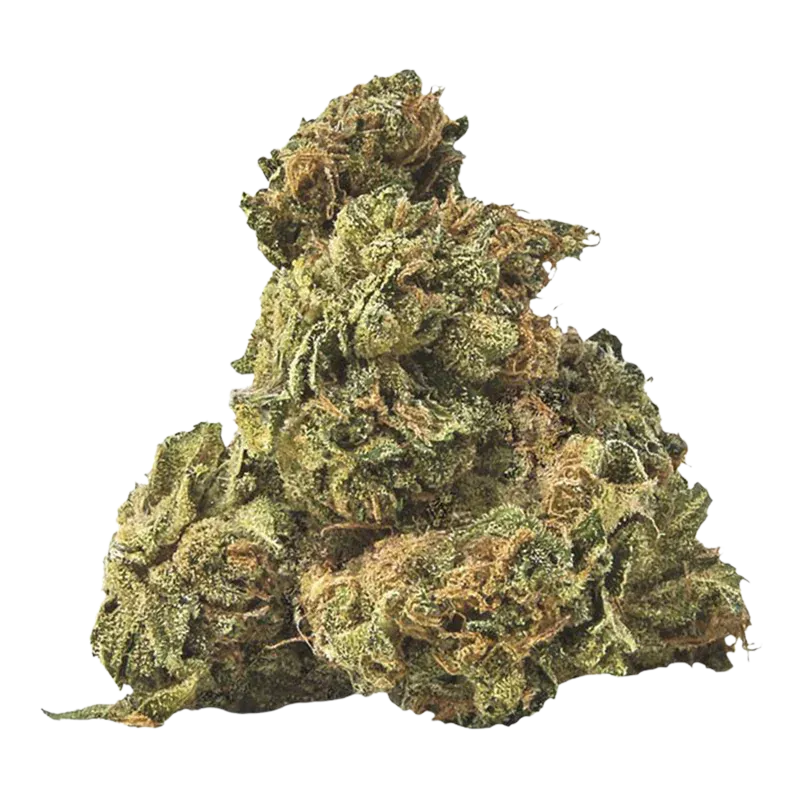 Purple Cow Tipper Budski - Image 2