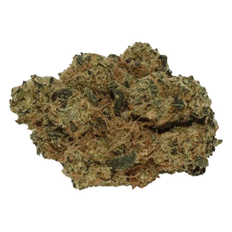 Peppermint Frosty - Image 2
