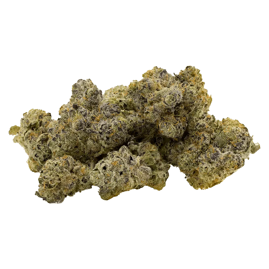 The Gas Pack - Image 2