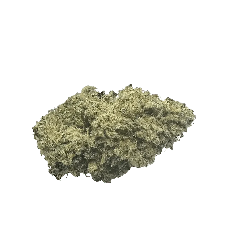 Rotating Strain - Image 2