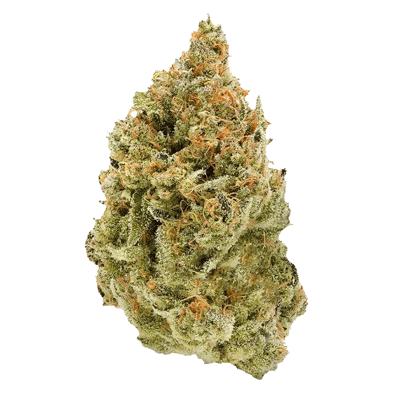 BC Organic Fruit Loopz - Image 2