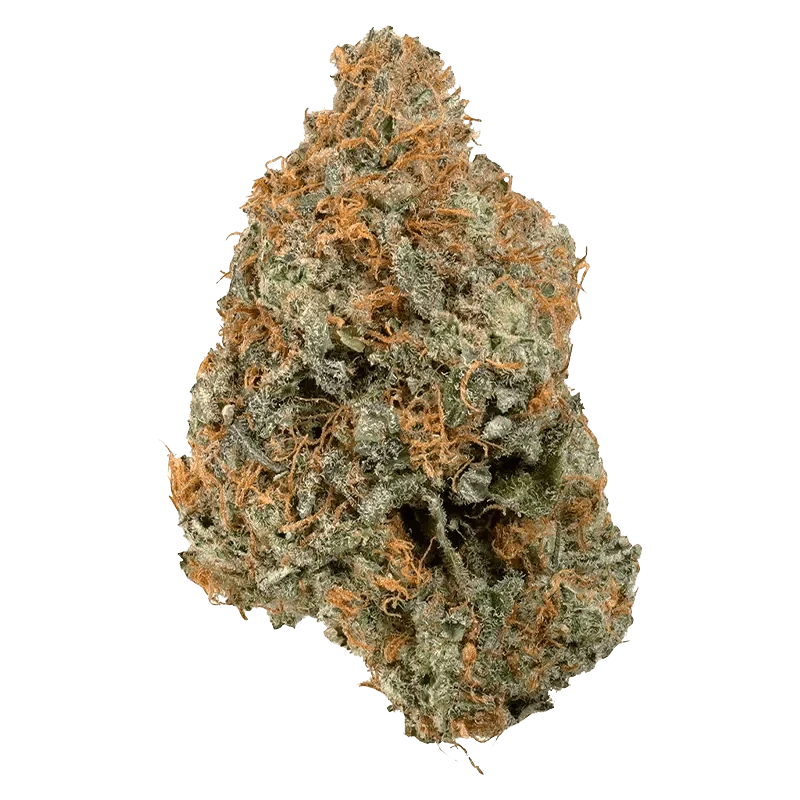 BC Organic Kraken - Image 2