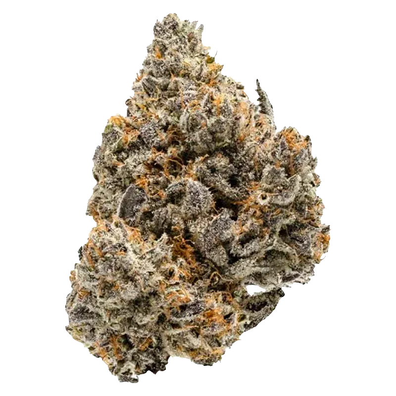 BC Organic Lemolada - Image 2