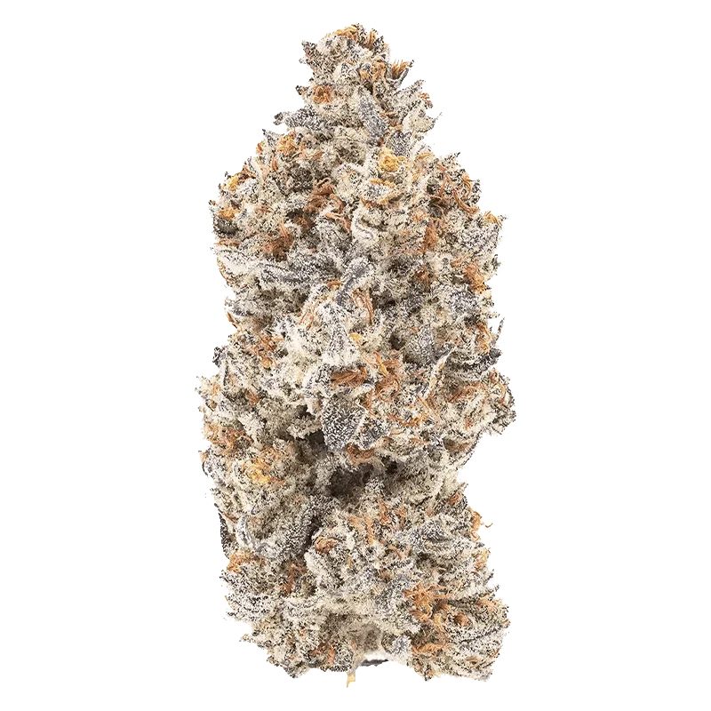 M'mosa - Image 2