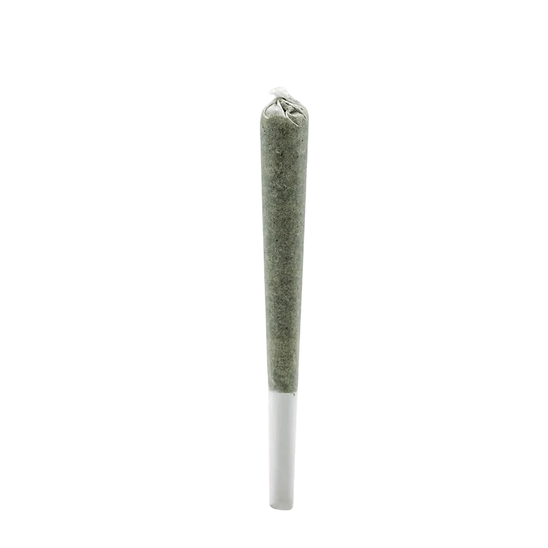 Rosin Infused PR 1 x 1 g - Image 2