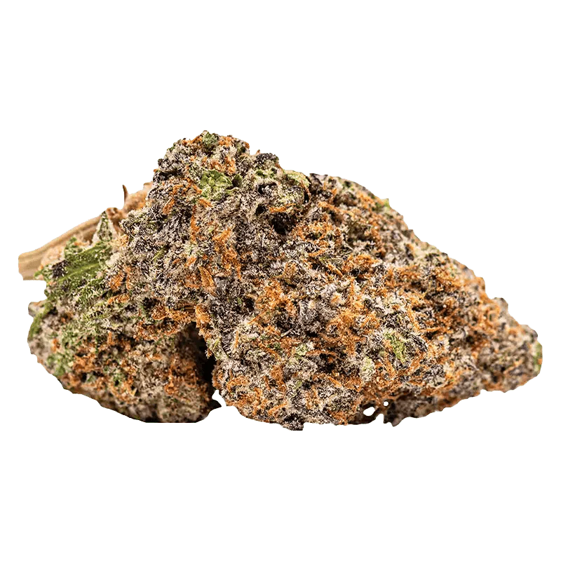 Select Pheno #7 - Image 2