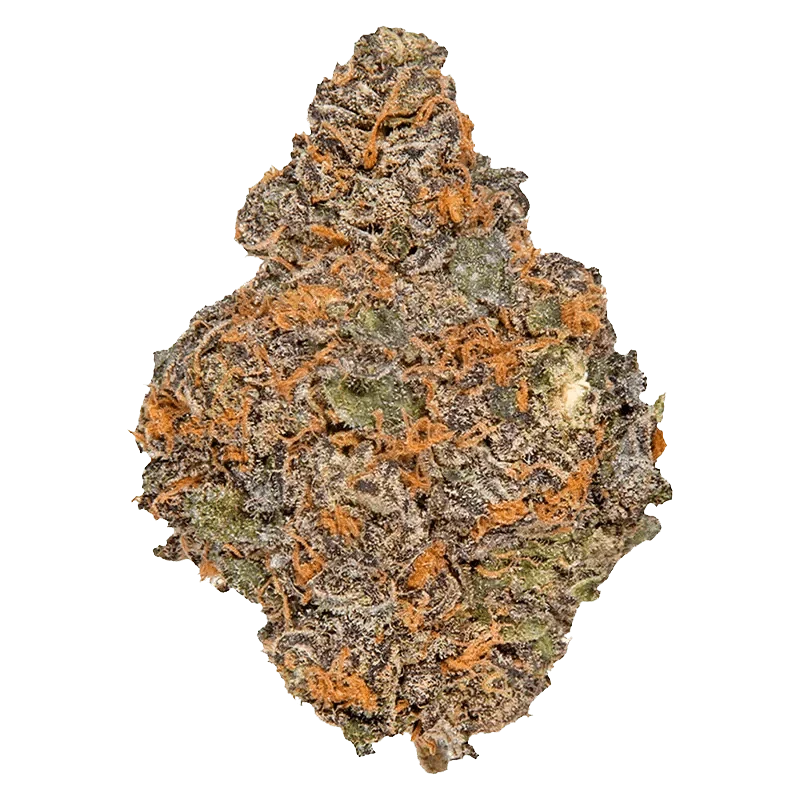 Beaver Tail - Image 2
