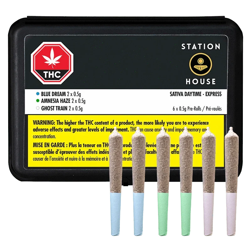 Daytime Express Variety Pack PR 12 x 0.5 g