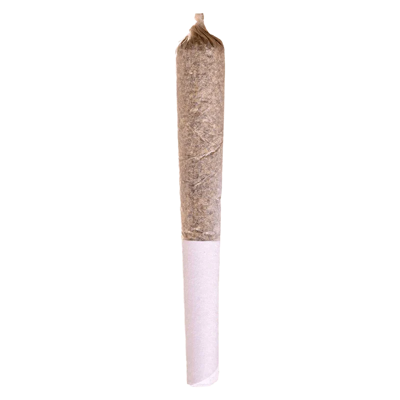 Jack Herer PR 1 x 0.5 g - Image 2