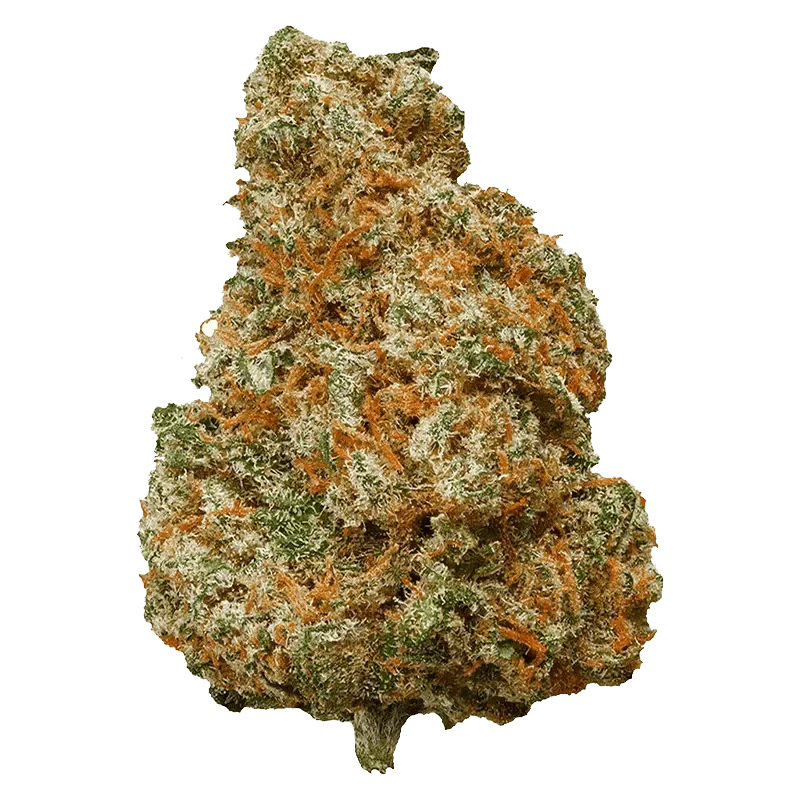 Mango Dream - Image 2
