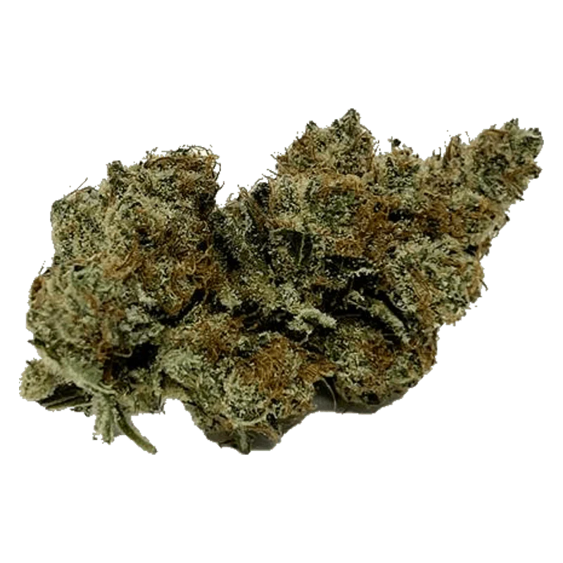 Mmmosa Evo - Image 2