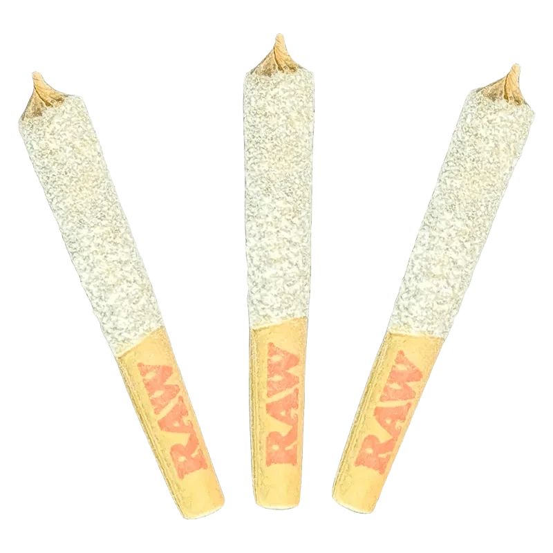 Pink GOAT 50's+ Triple Infused PR 3 x 0.5 g - Image 2