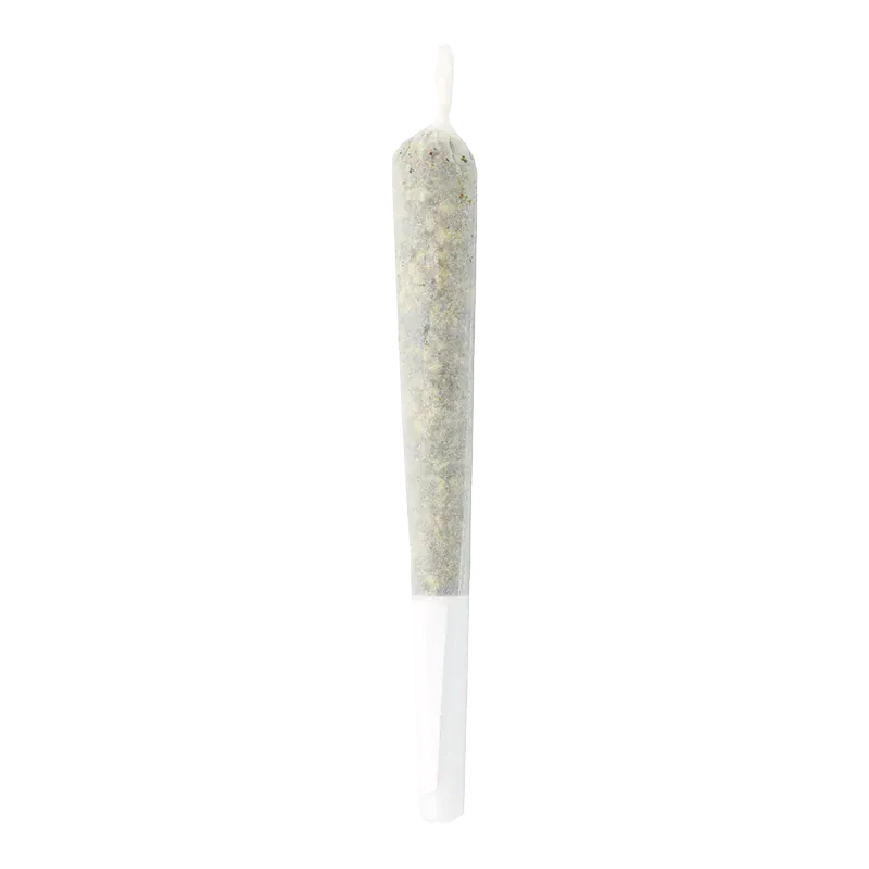 Royal Sherb PR 1 x 1 g - Image 2