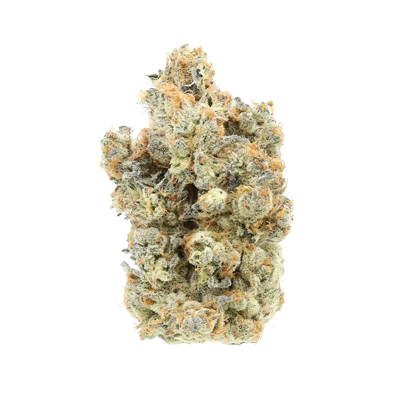 TKO - Image 2