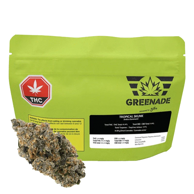 Tropical Skunk