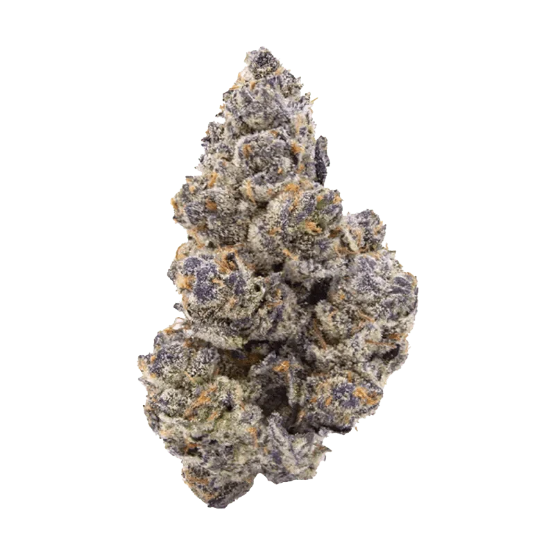 Watermelon Zkittlez - Image 2