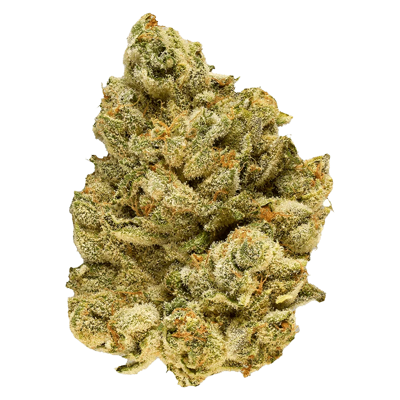 Emergenz - Image 2