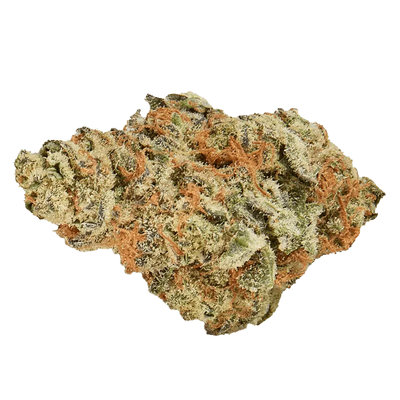 Monkey Butter - Image 2