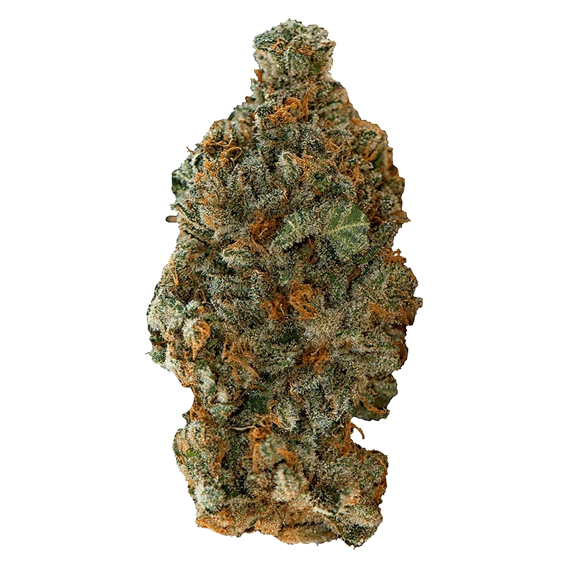 Girl Scout Cookies - Image 2