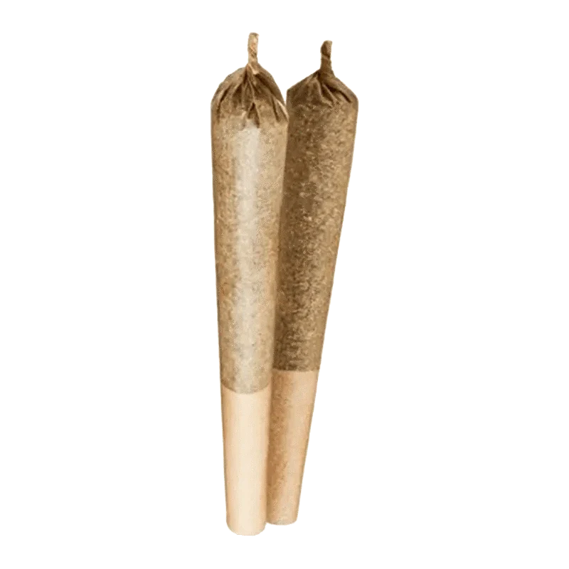 Indica PR 2 x 1 g - Image 2