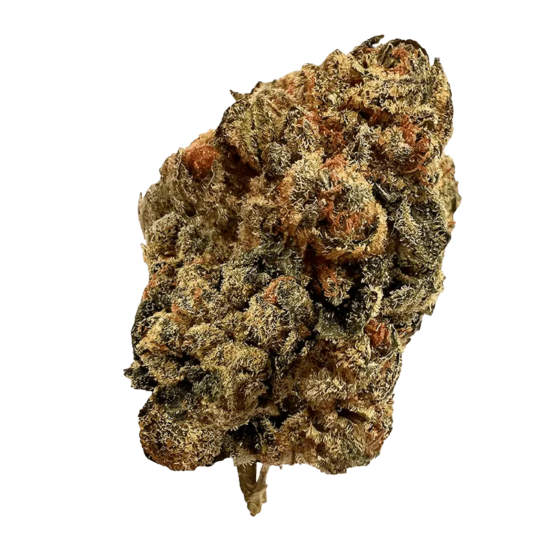 Sweet Island Skunk - Image 2