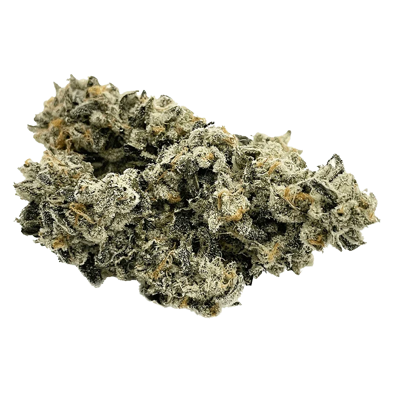 Gas Pack - Image 2