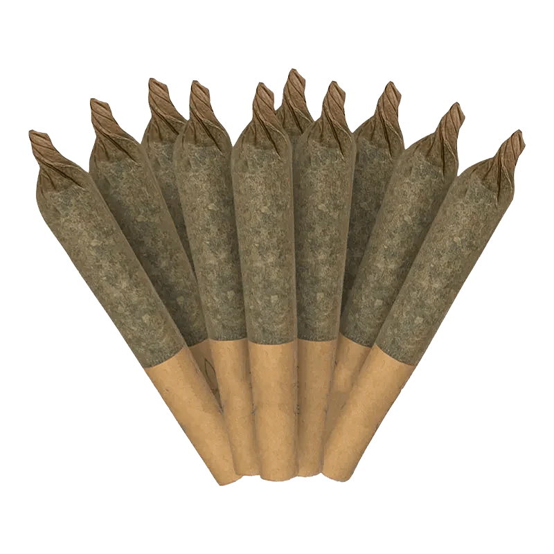 Indica PR 10 x 0.35 g - Image 2