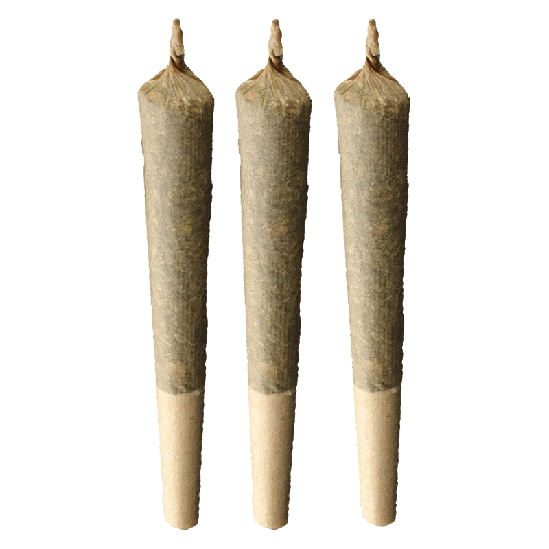 Sativa 20% Plus PR 3 x 1 g - Image 2